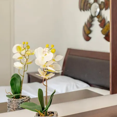 Lovely 3-bedroom Vacation In Nafplio. Lägenhet Nafplion